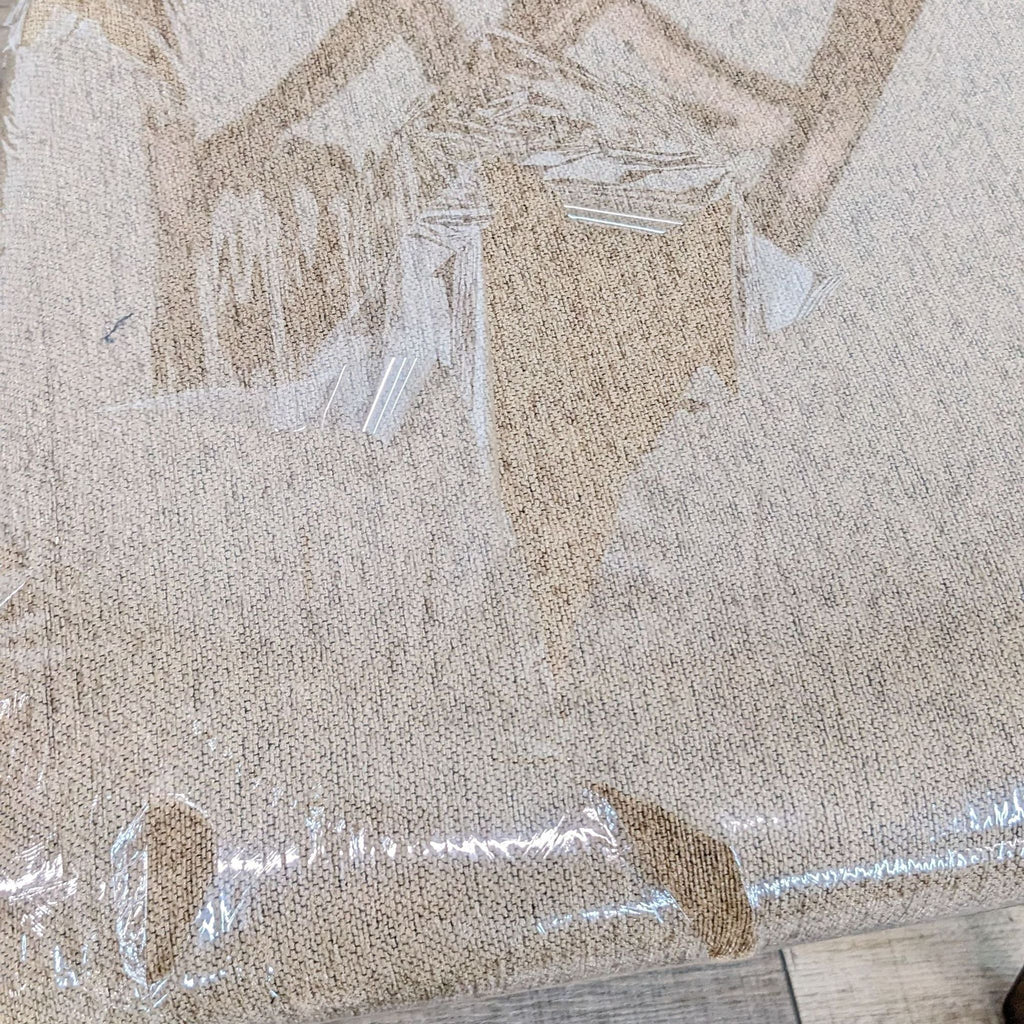 Contemporary Dining Chair