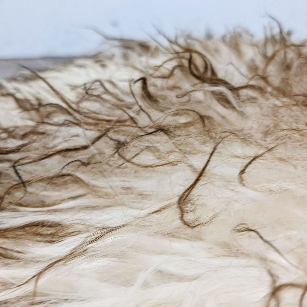 Close-up of Icelandic Sheepskin Hide rug fibers, showcasing soft texture.