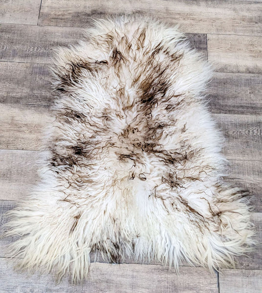 Fluffy Icelandic Sheepskin Hide rug with brown accents on wood floor.