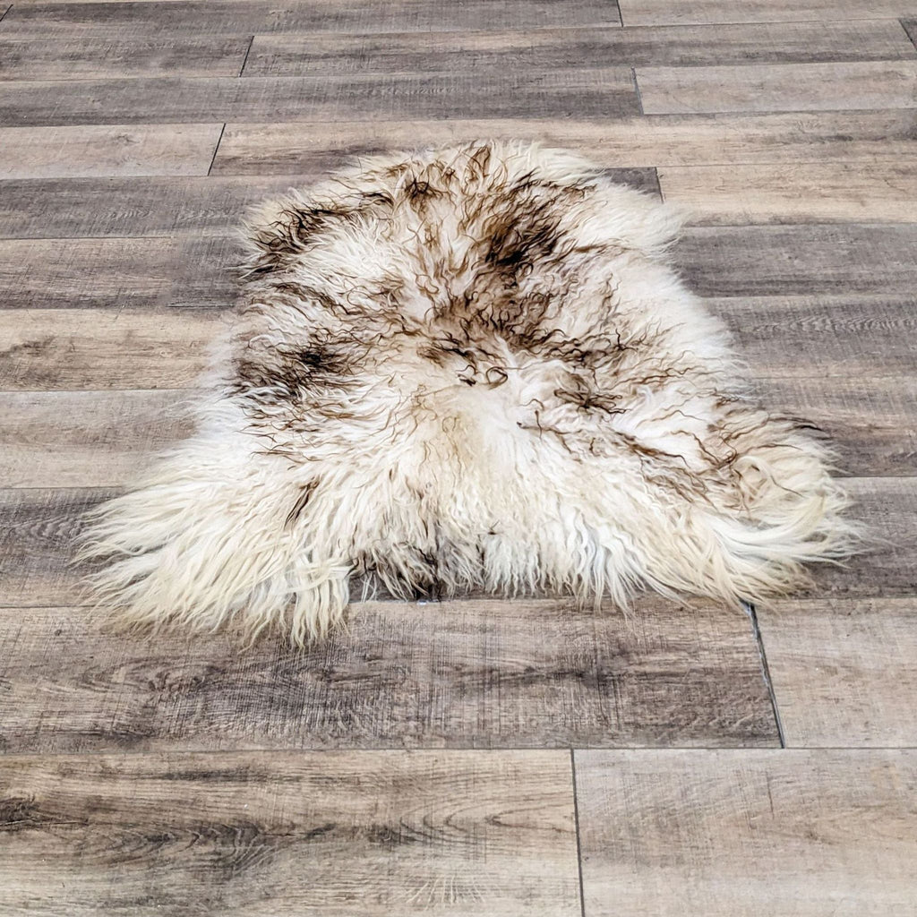 Icelandic Sheepskin Rug