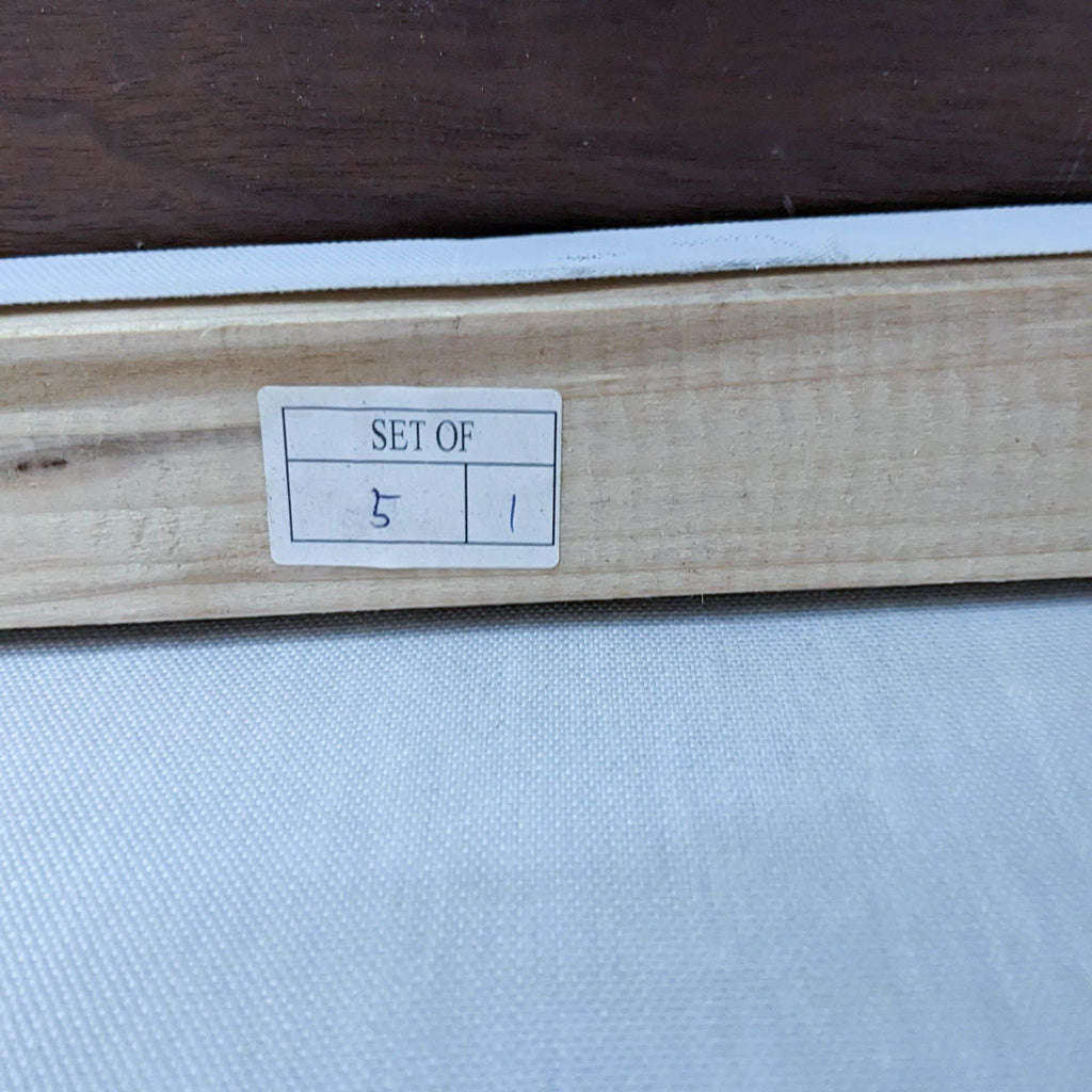 Canvas edge labeled "Set of 5 1" in the botanical art piece by Reperch.  