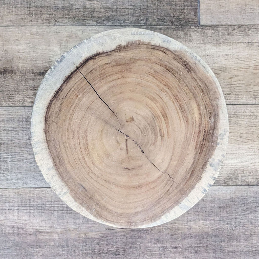 Tree Slice Side Table