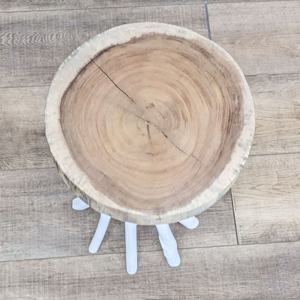 Tree Slice Side Table
