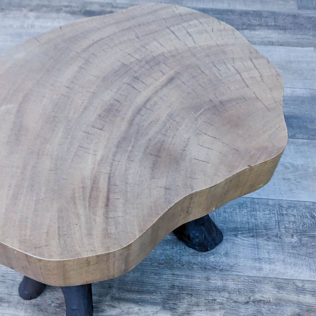 3. Top-down view of a Reperch side table showing organic wood grain on the circular surface with tree-inspired leg design.