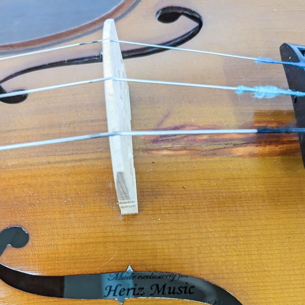 Elegant 4/4 Full-Size Violin with Case - Ready to Play