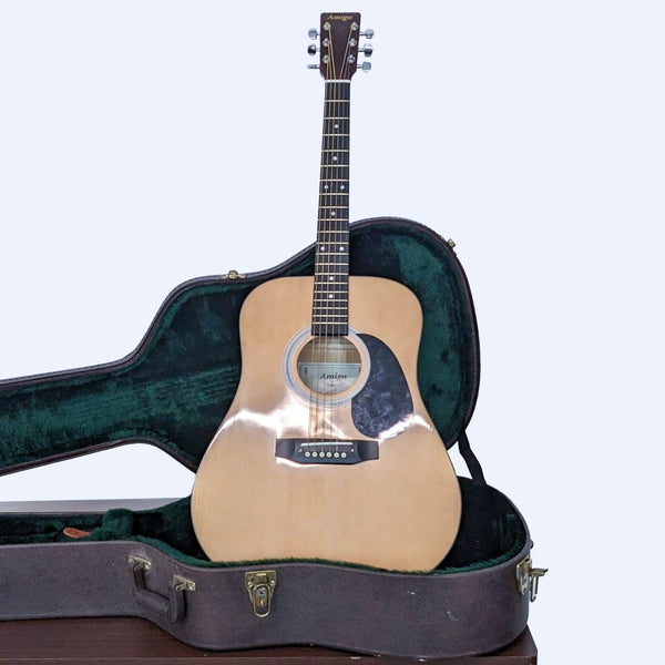 A Takamine acoustic guitar in a plush-lined hardshell case against a white background.