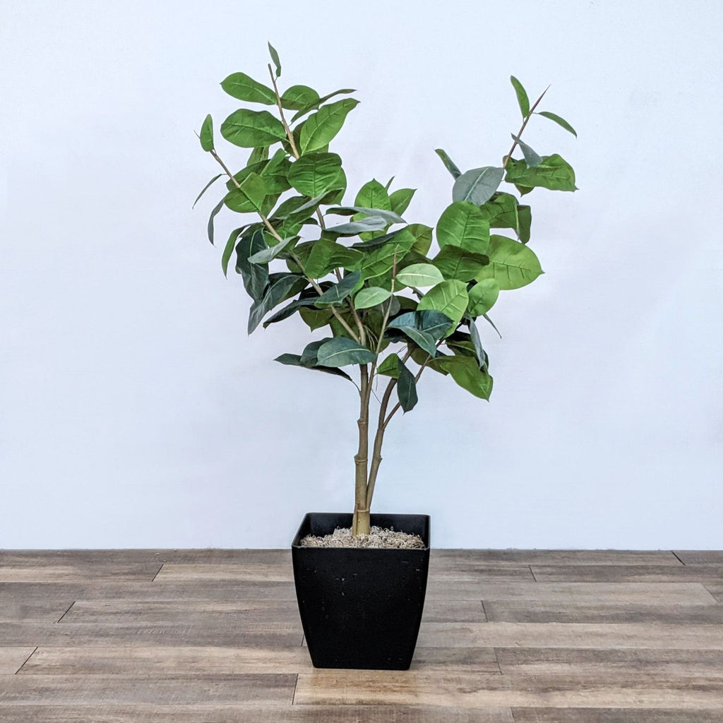 Reperch branded 6’ 3” artificial indoor tree with green leaves in a black pot against a white wall.