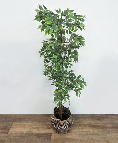 1. Artificial ficus tree with lush green foliage in a black plastic pot, placed inside a woven basket on a wooden floor.