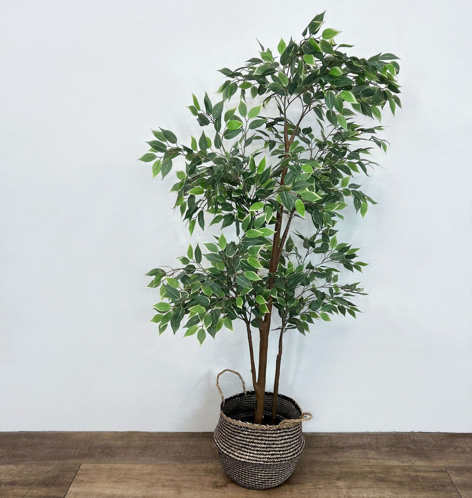 Artificial Ficus Tree with Basket