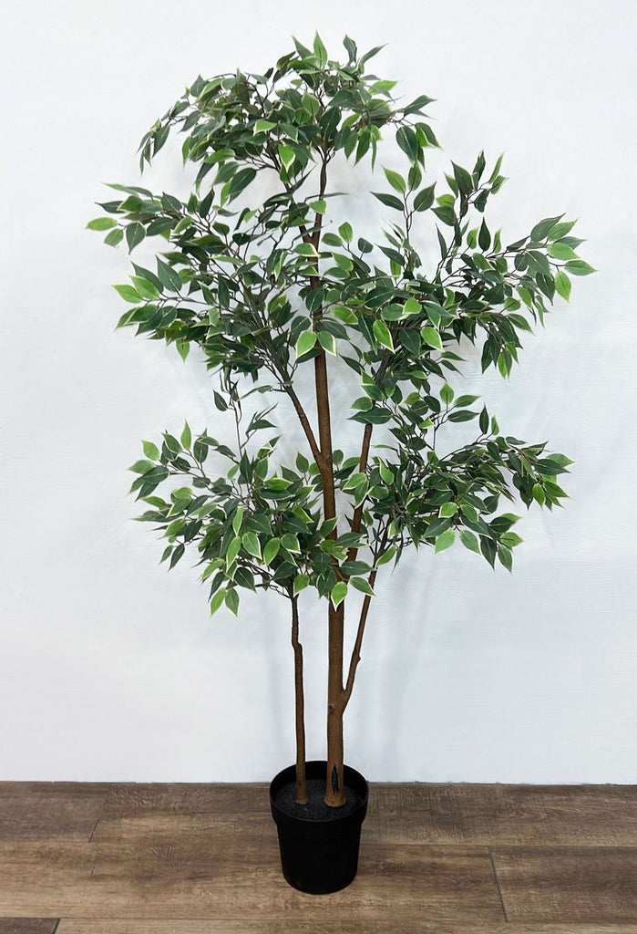 2. Lifelike artificial ficus tree standing in a plain black pot against a white background on a wooden surface.
