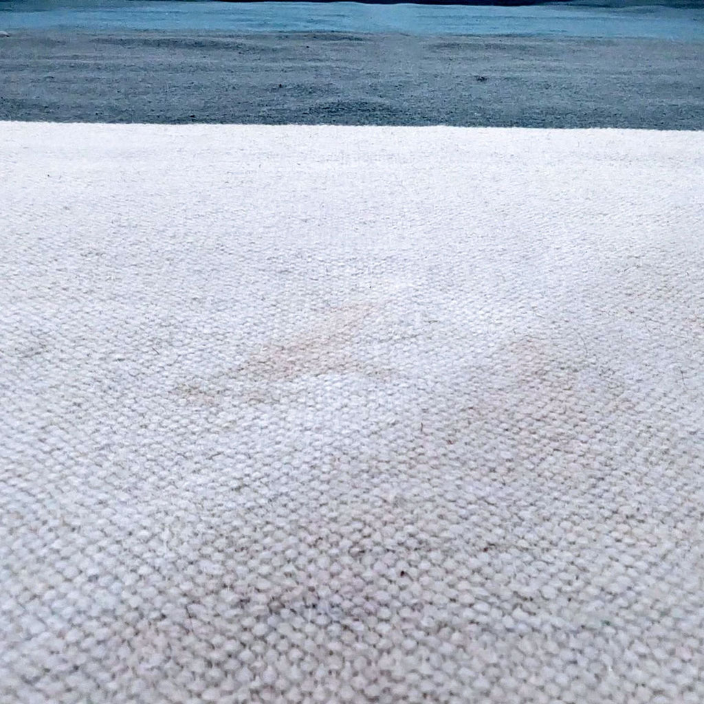 EQ3 Tofino Wool Area Rug