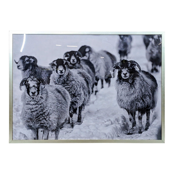 1. West Elm framed print depicting a herd of sheep on a snowy landscape, with several sheep looking directly forward.