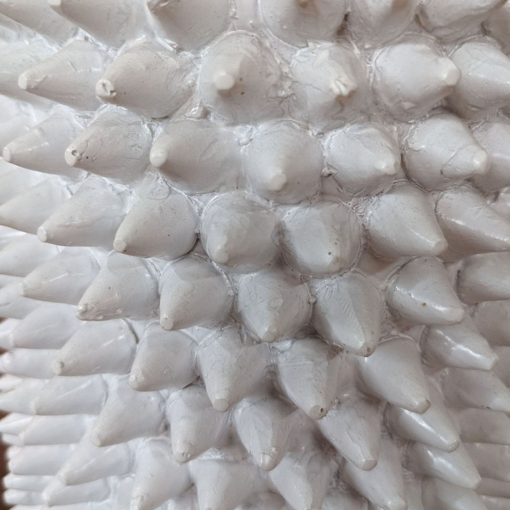 a close up of a white fish skin