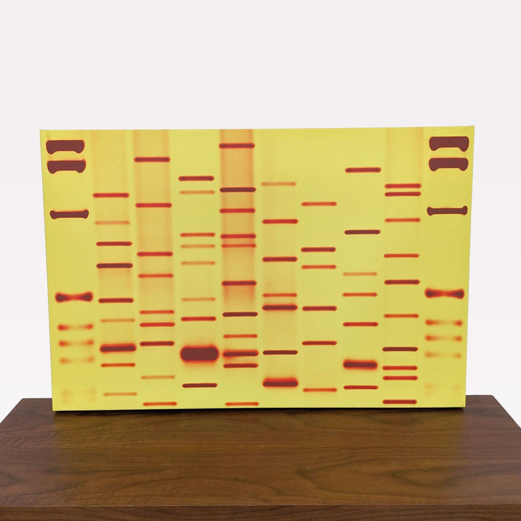 a close up of a table with a yellow and red dna pattern.