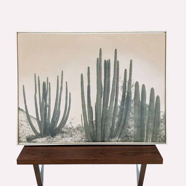 Cactus print in metal frame on wooden stand by World Market.