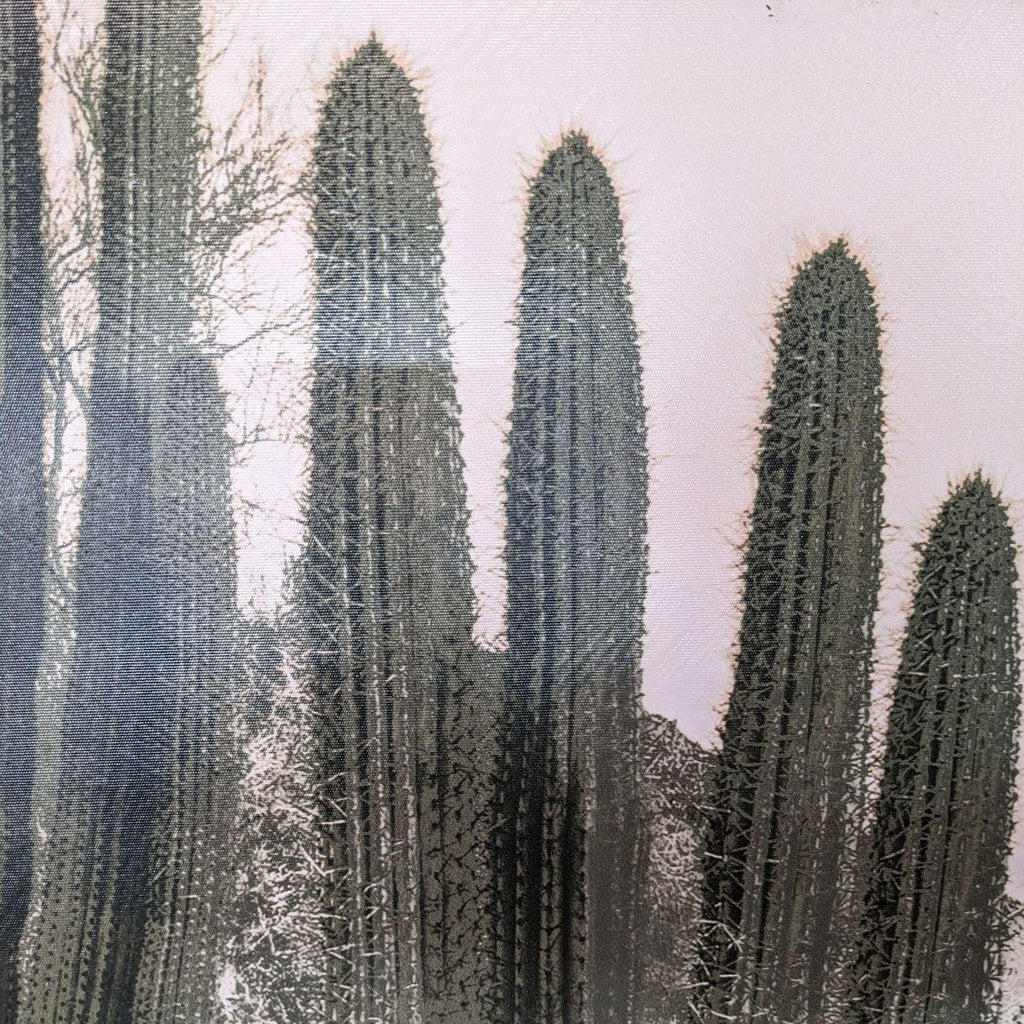 Close-up of detailed cactus design in sepia tones.