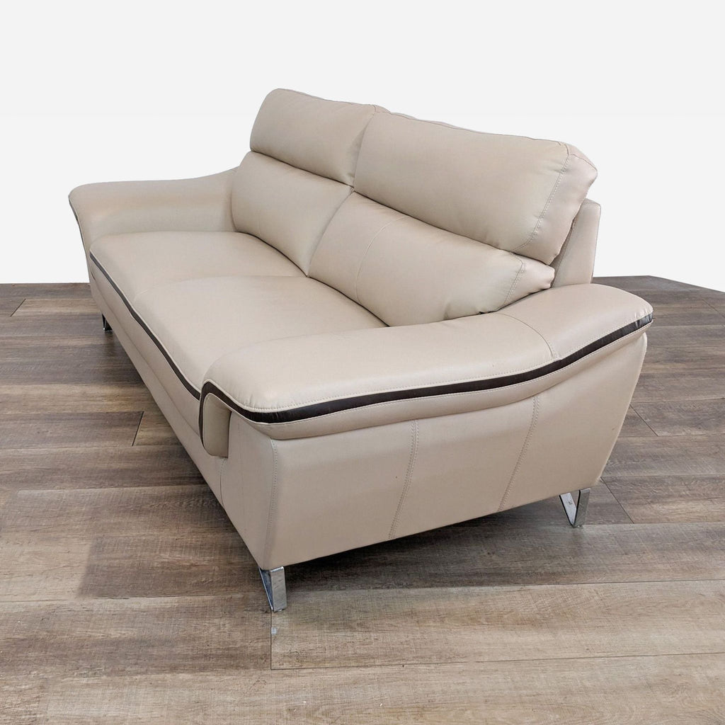 leather sofa in a modern style.