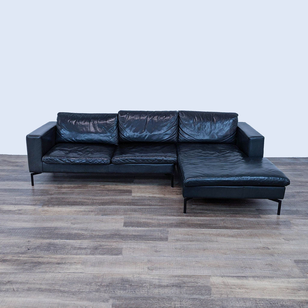 leather sofa in a black leather