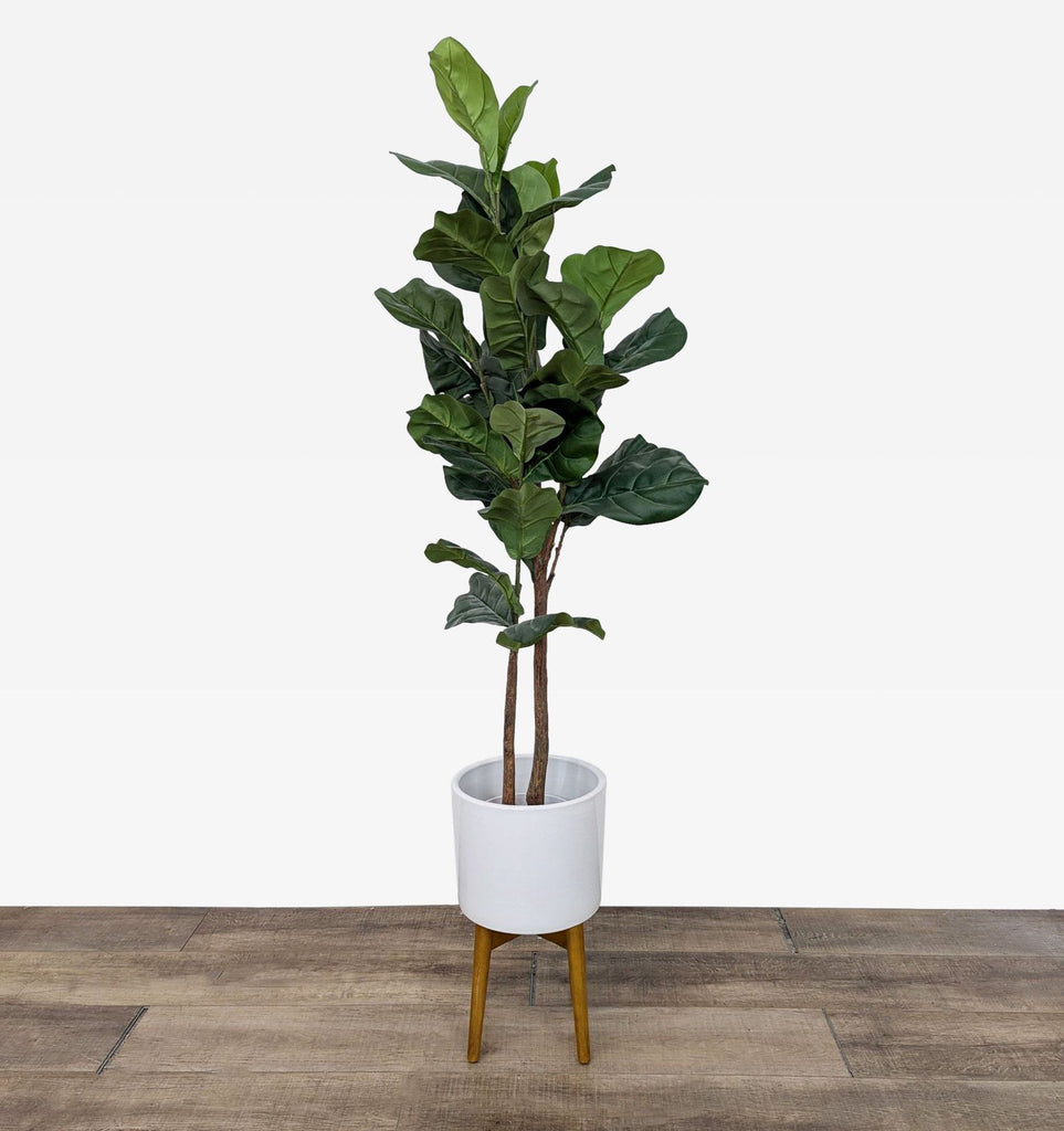 the potted plant in the shape of a pot