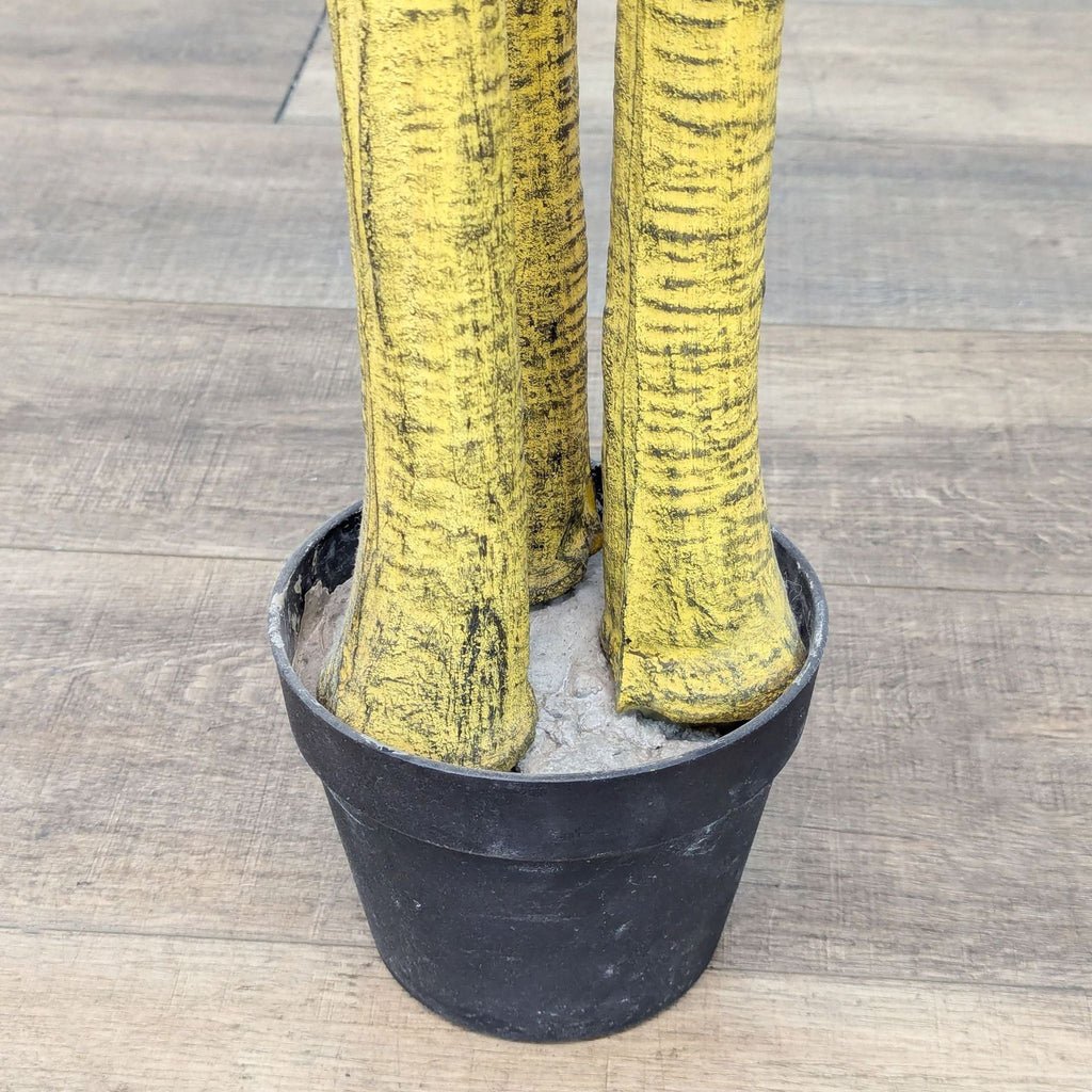 a black potted plant with yellow paint