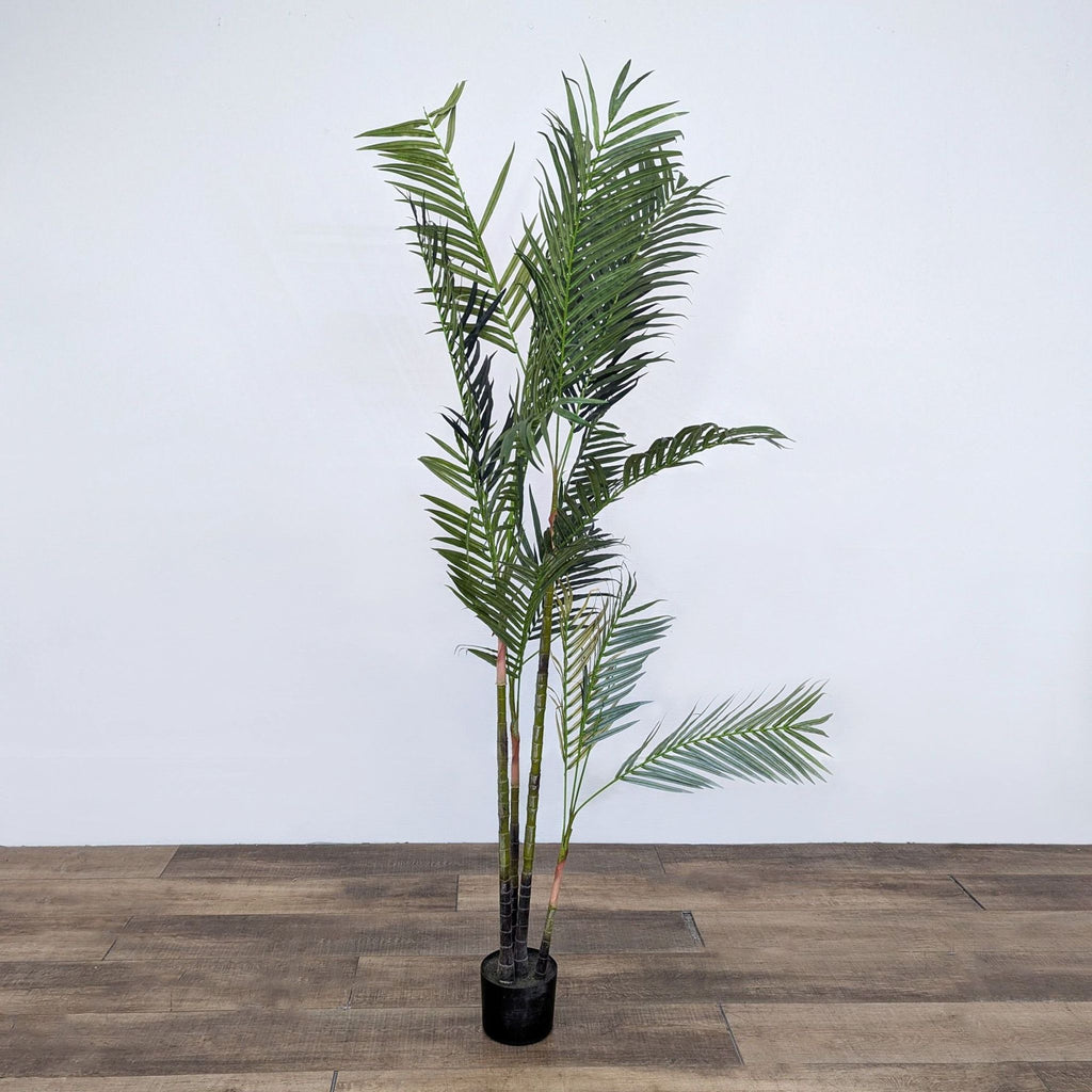 the home collective palm tree