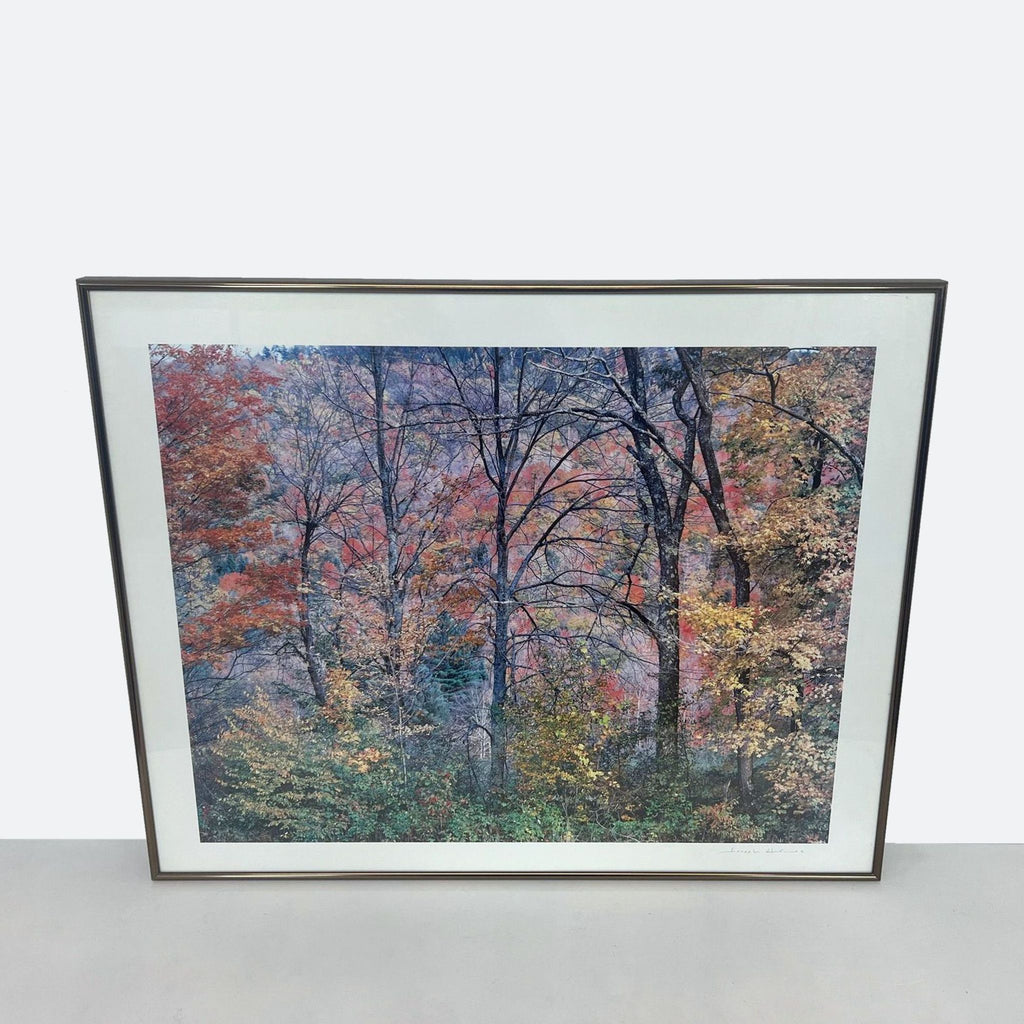 Signed Art Print “Natural Light” by Joseph Holmes