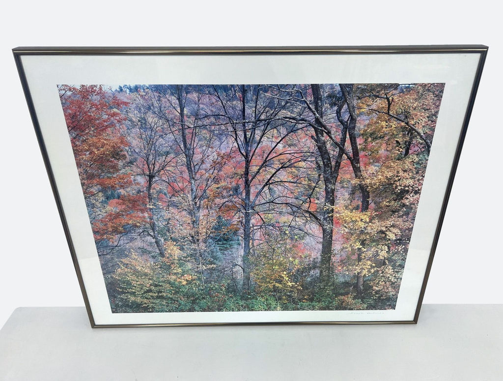 framed print of a forest scene