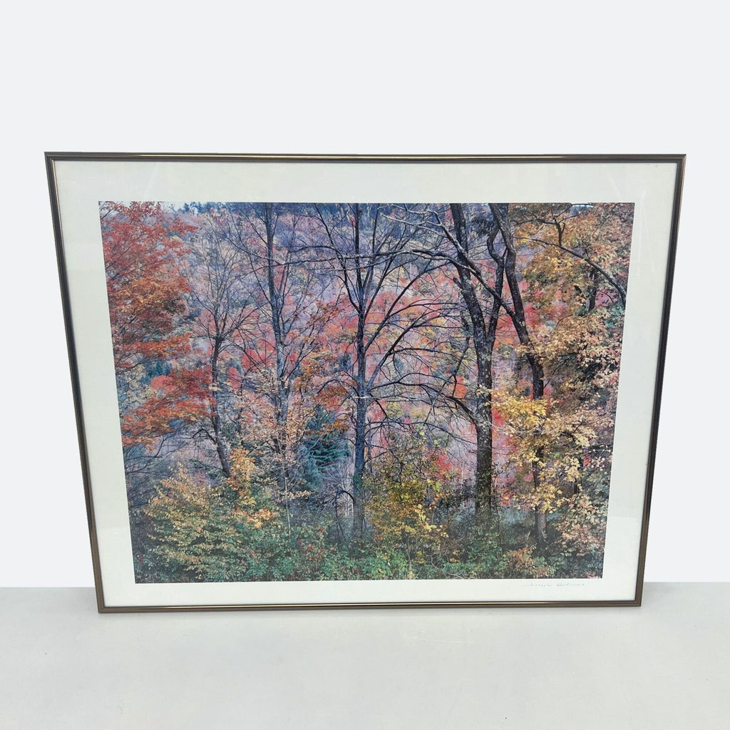 framed print of a forest