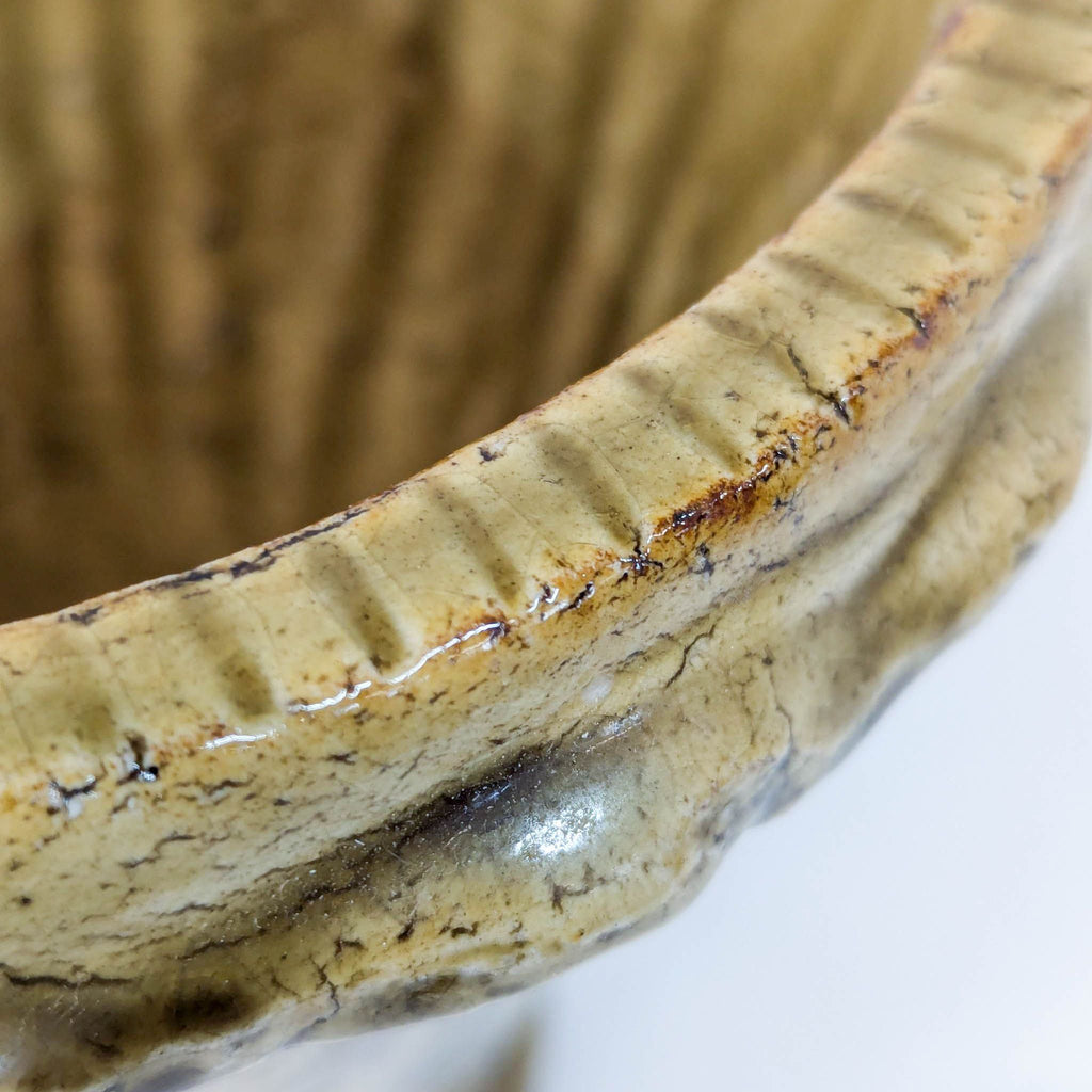 "Antiqued" Ceramic Planter with Lion's Head