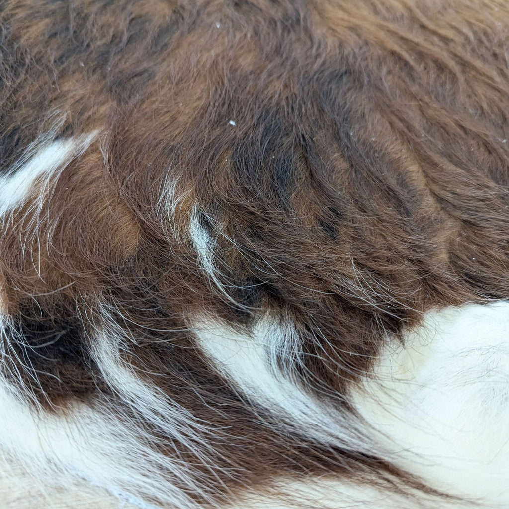 Natural Tri-Color Brindle Cowhide Rug by ECowhides