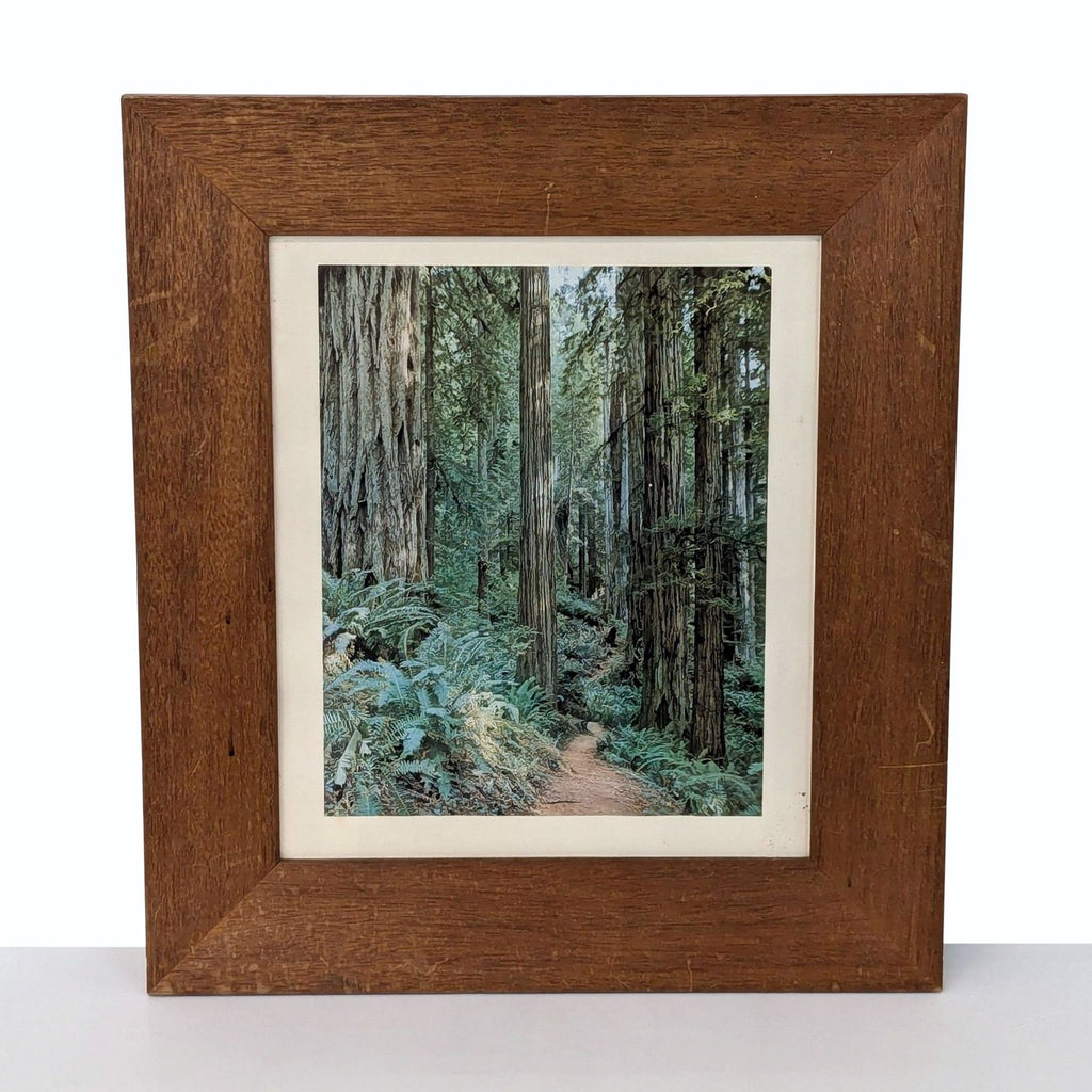 framed print of a forest path