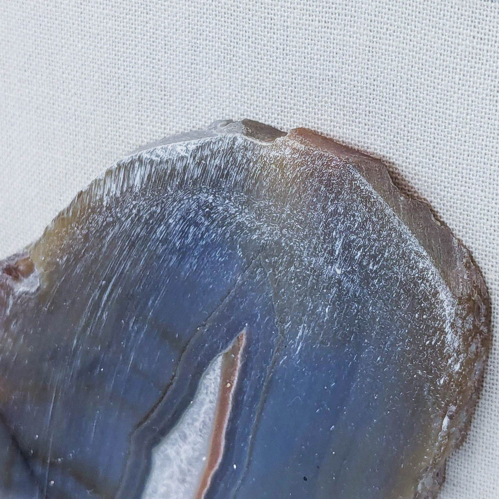 a piece of art with a skull on it 