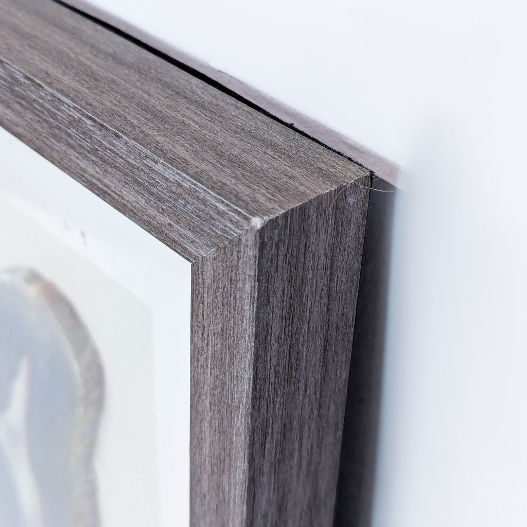 Framed Natural Agate Slice Wall Art