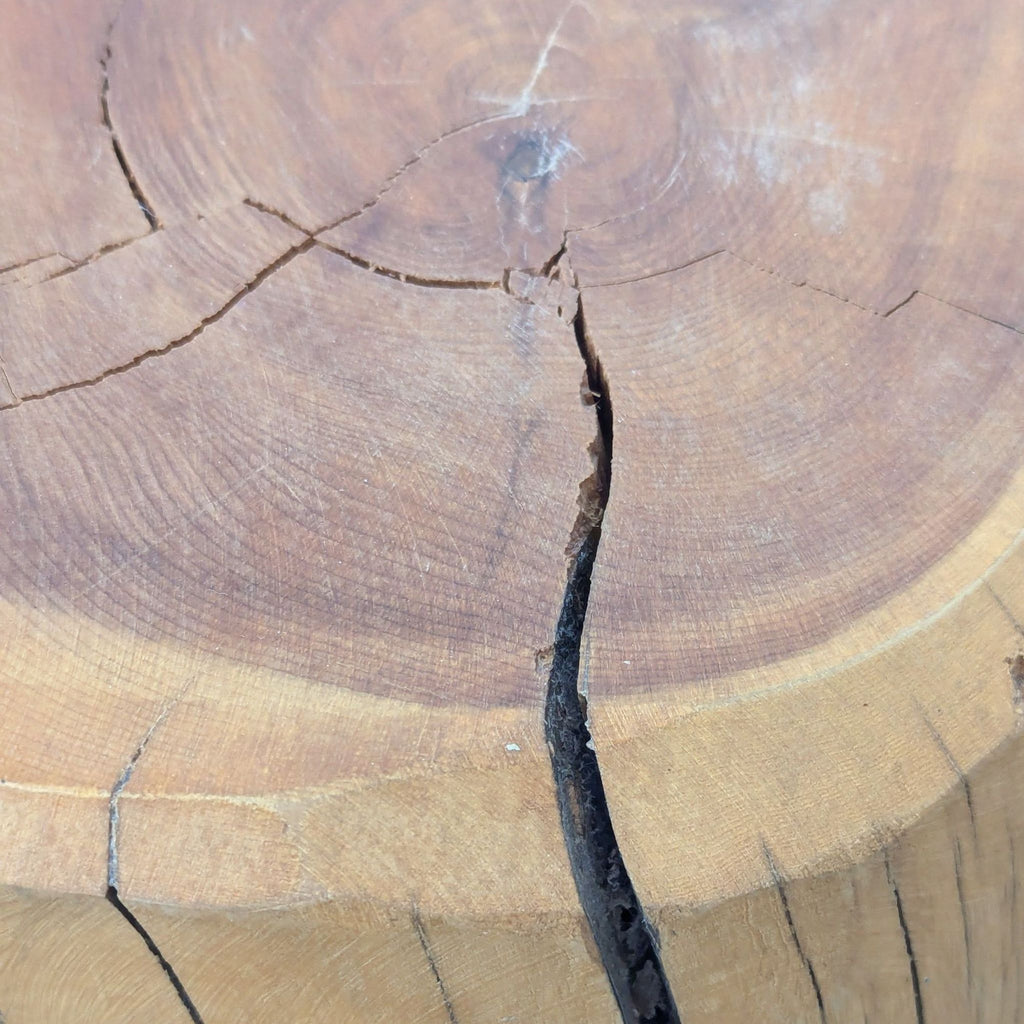 Tree Stump Accent Table