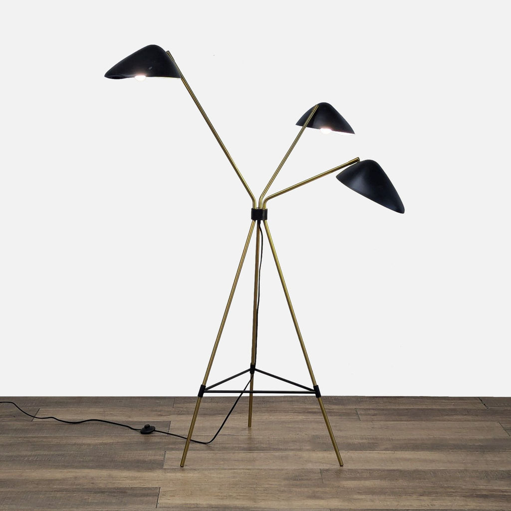 West Elm Mid-Century Curvilinear Floor Lamp