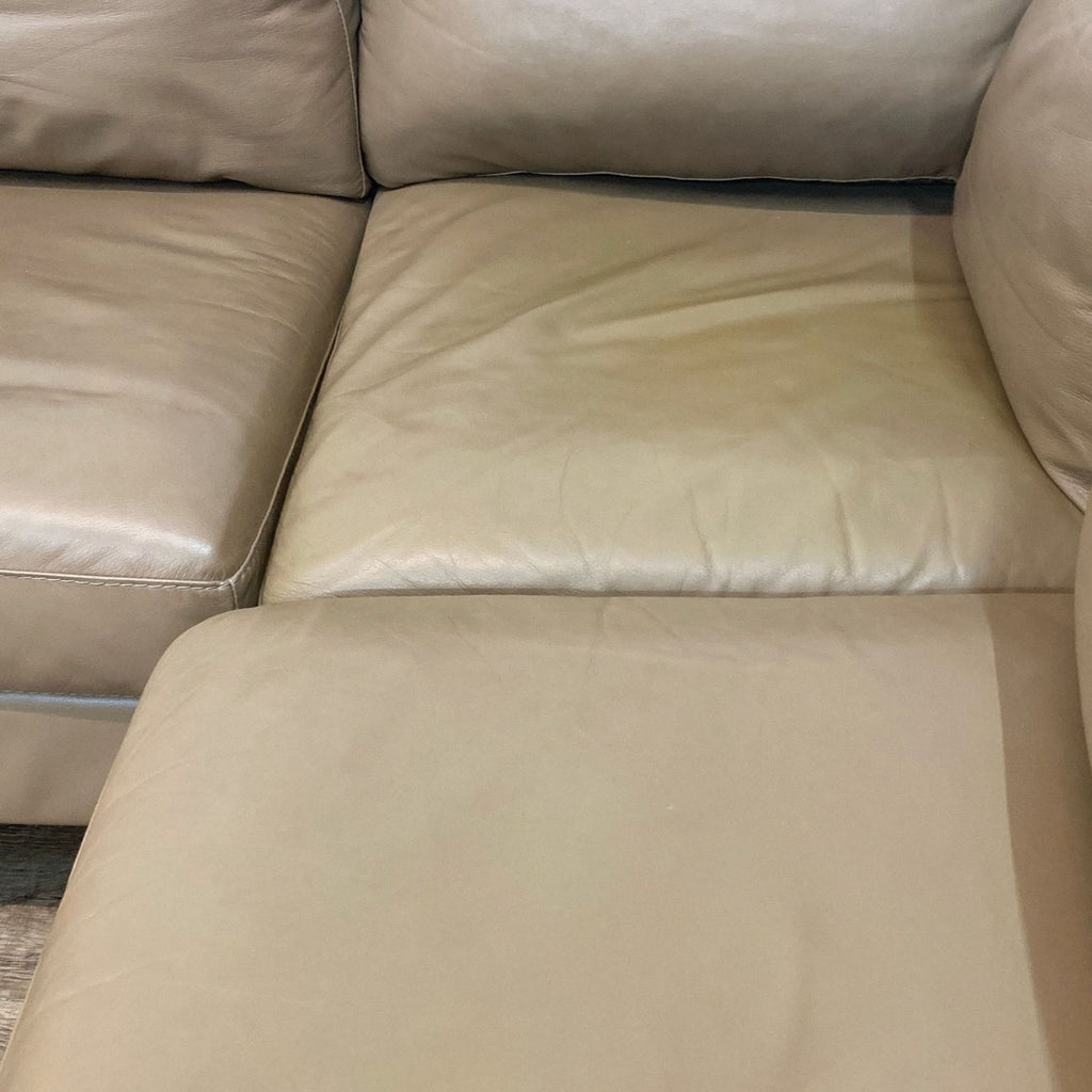 Albert Sectional Clay Colored Modern Modular Leather Sectional Sofa with Chaise