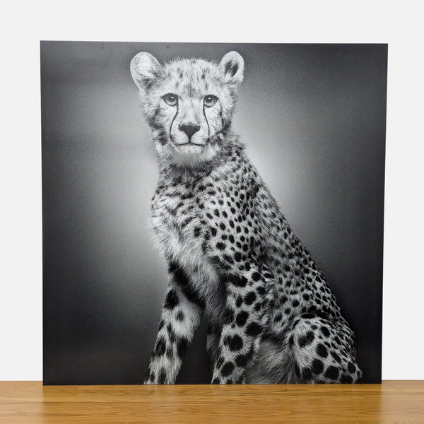 Black and white cheetah print by Alexander Von Reiswitz, titled "Mali," limited edition by Lumas.