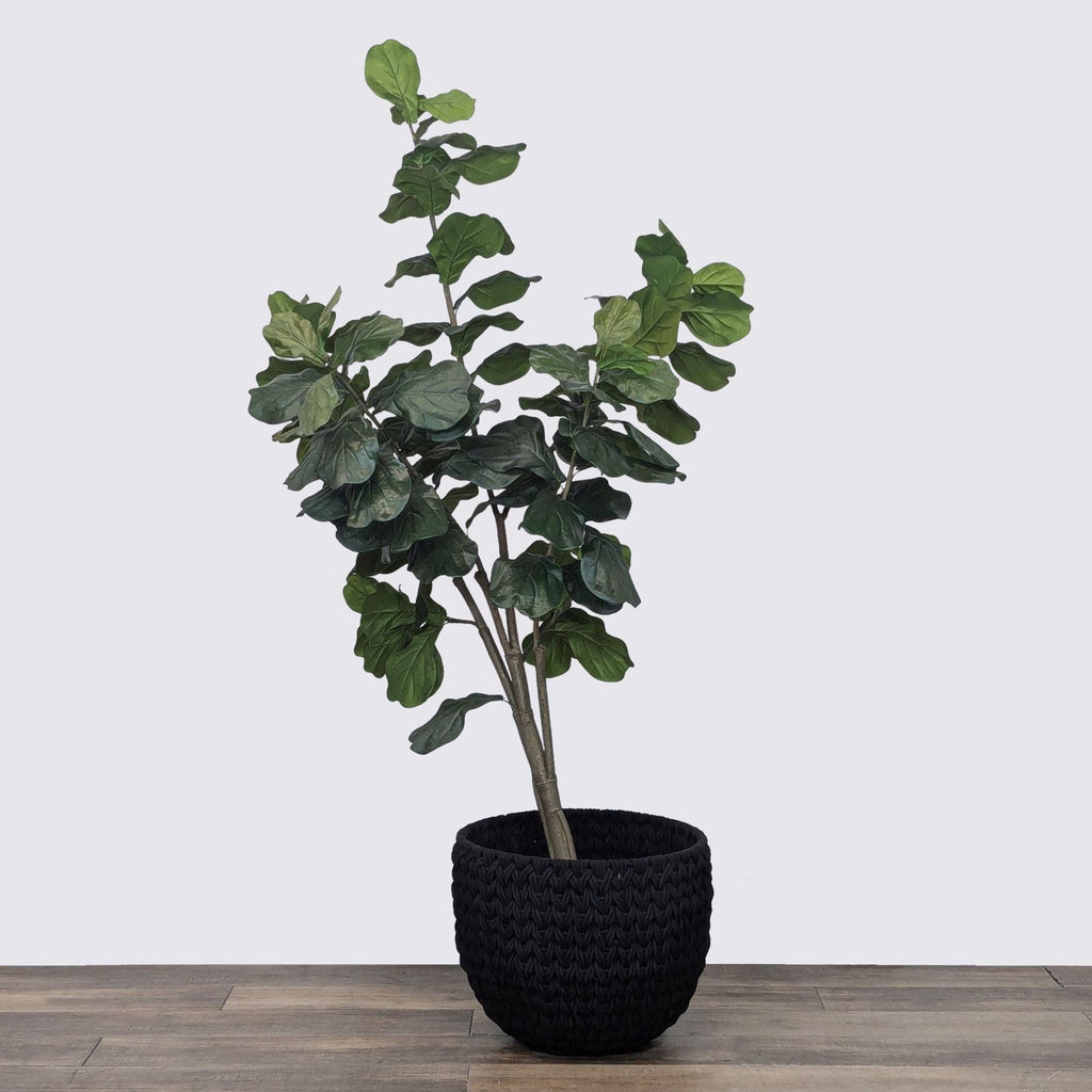 Faux Fiddle Leaf Fig Tree in Woven Pot