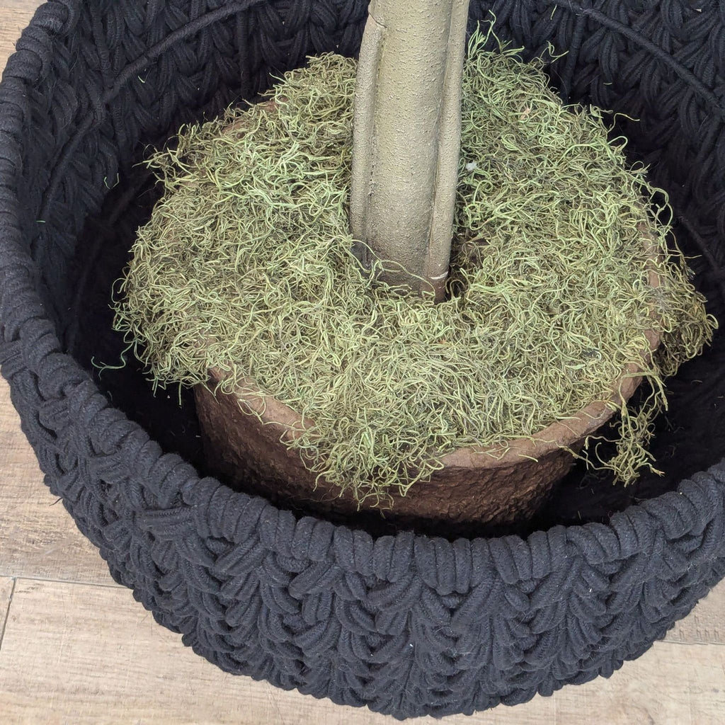 Faux Fiddle Leaf Fig Tree in Woven Pot