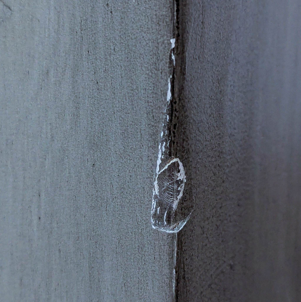 Living Spaces Vanya Modern 5 Piece Dining Set