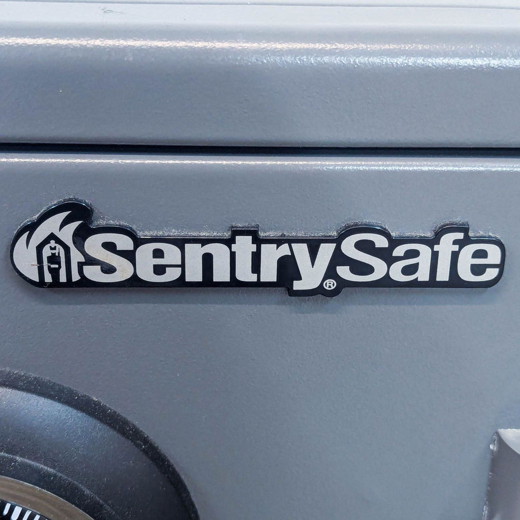 SentrySafe SFW123DSB Combination Water/Fire Safe