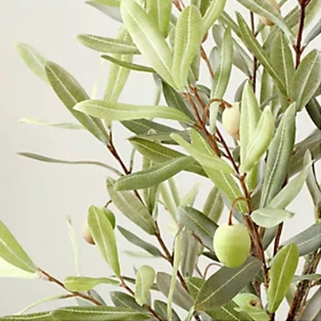 2. Close-up of Safavieh artificial olive tree branches, showing detailed green leaves and lifelike olives.