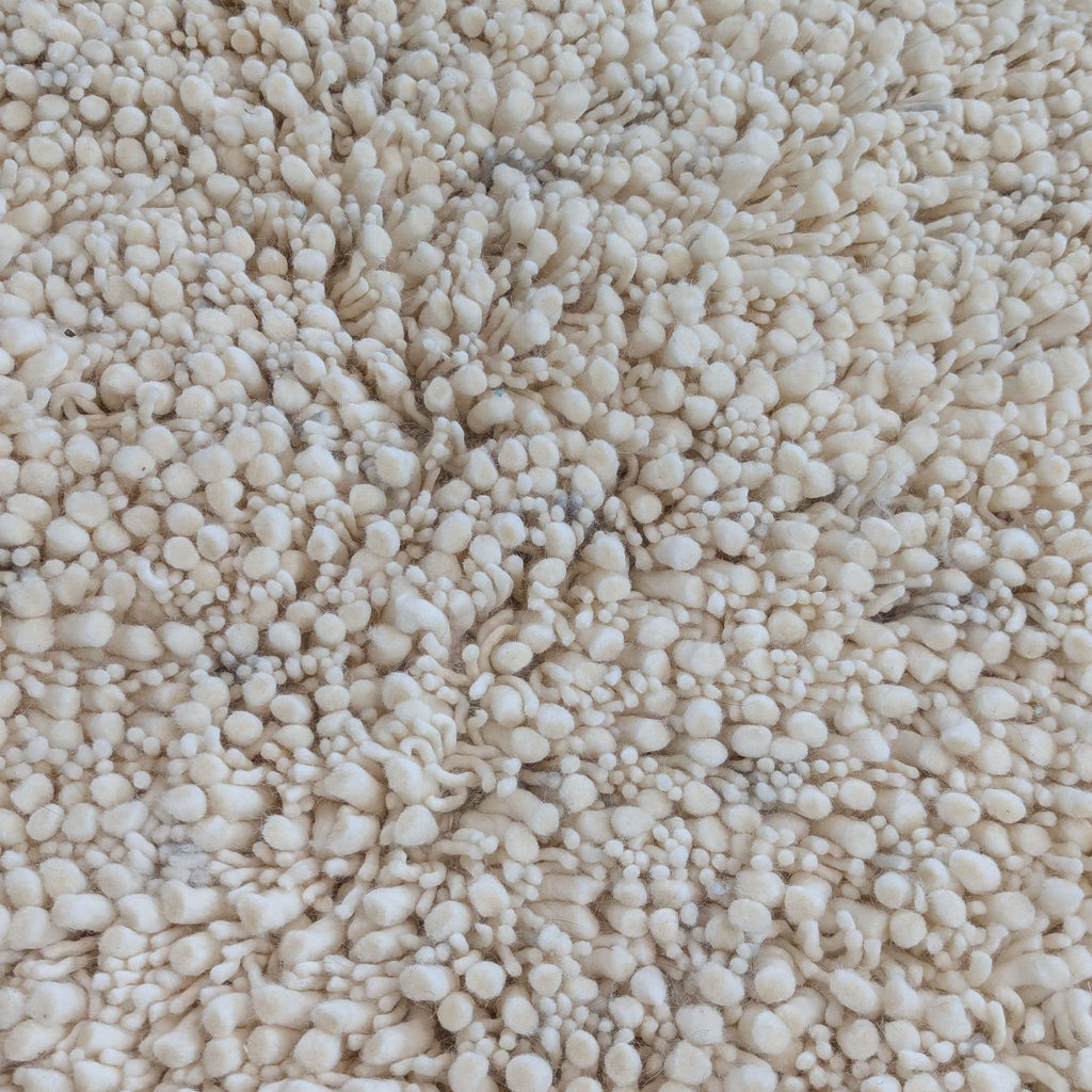 West Elm Popcorn 8x10 Shag Area Rug in Sand