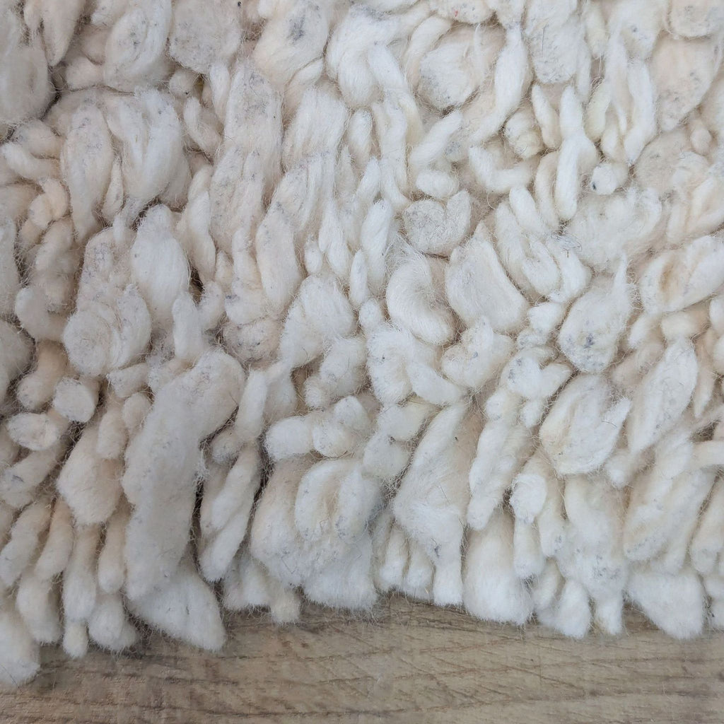 West Elm Popcorn 8x10 Shag Area Rug in Sand