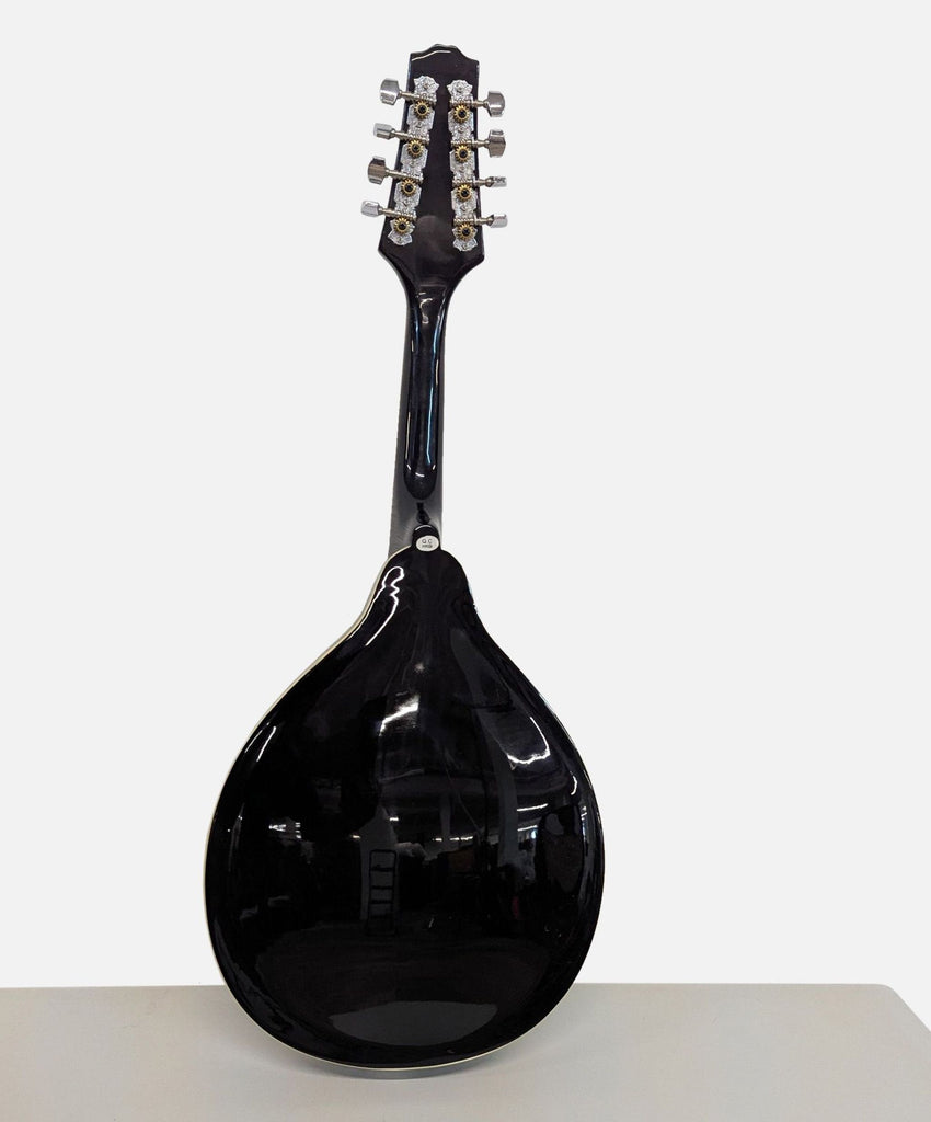 Rogue Mandolin
