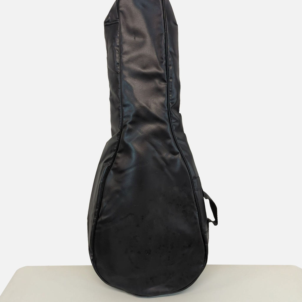 3. Soft black gig bag designed for the Rogue RM-100A mandolin, zipped up and standing upright.