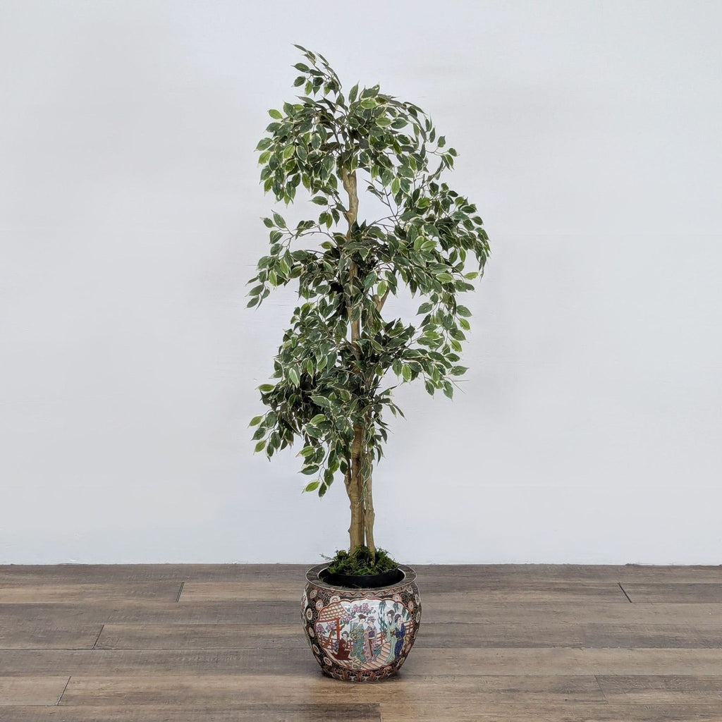 Faux Ficus Tree in a Chinese Ceramic Pot