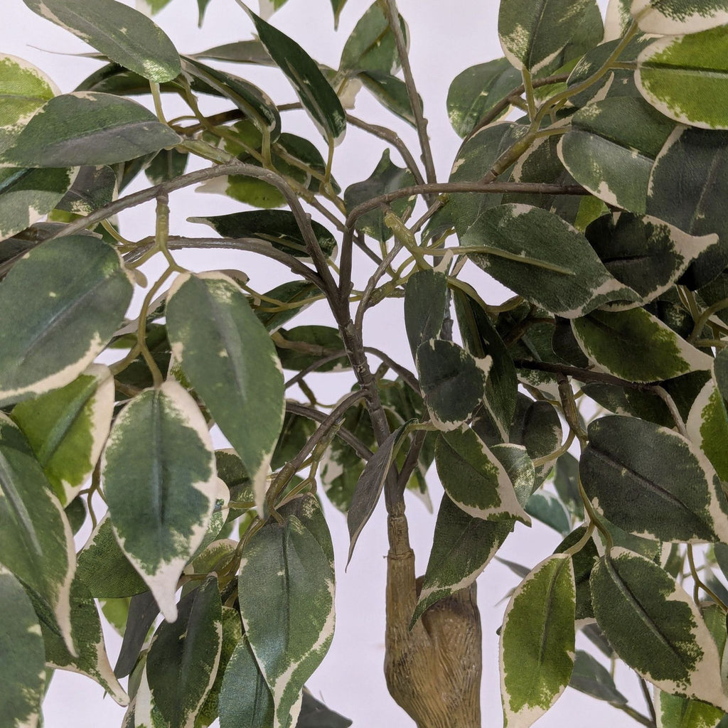 Faux Ficus Tree in a Chinese Ceramic Pot