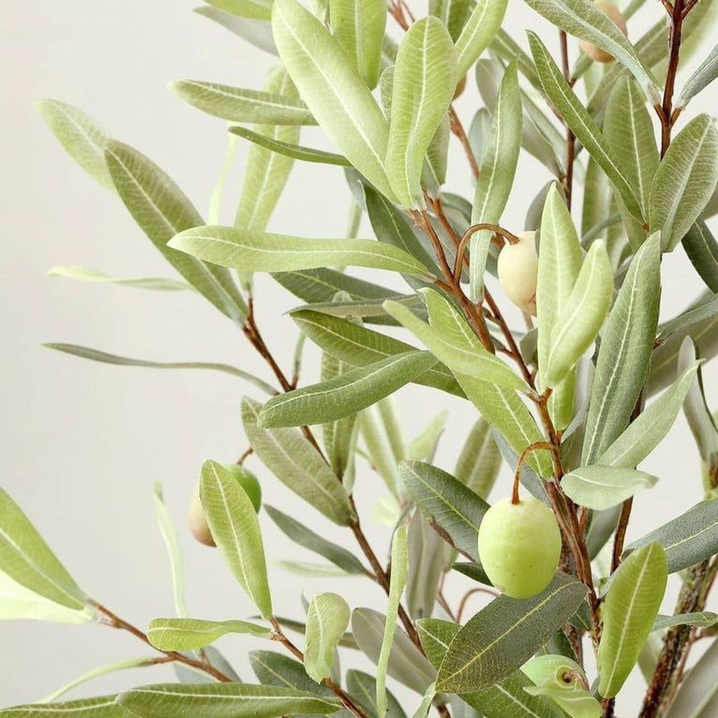 Close-up of faux olive tree branch with elongated green leaves and several realistic olives by Safavieh.