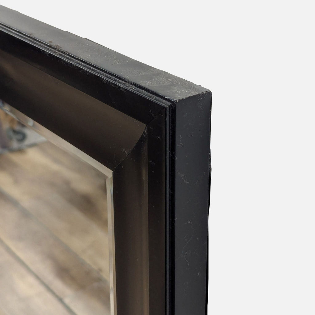 Standing/Wall Mirror #1